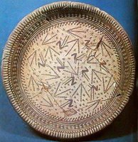 Dish